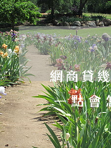網商貸幾點還才不會逾期(網商貸逾期每天還一點會怎么樣?)