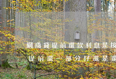 網商貸提前還款利息是按天算的嗎-網商貸提前還一部分好,還是還款日還好