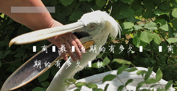 網商貸最長逾期的有多久還-網商貸最長逾期的有多久還款