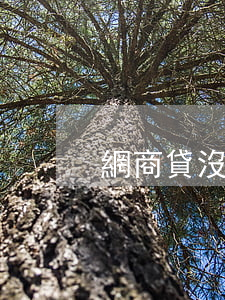 網商貸沒額度還可以延期還款嗎-