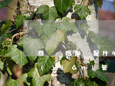 網商貸貸后部門是什么-網商貸歸哪個部門監(jiān)管
