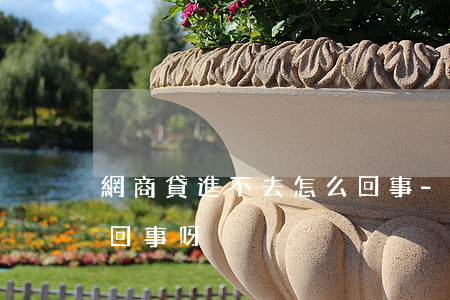 網商貸進不去怎么回事-網商貸進不去怎么回事呀
