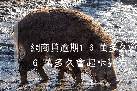 網商貸逾期16萬多久會起訴(網商貸逾期16萬多久會起訴對方)