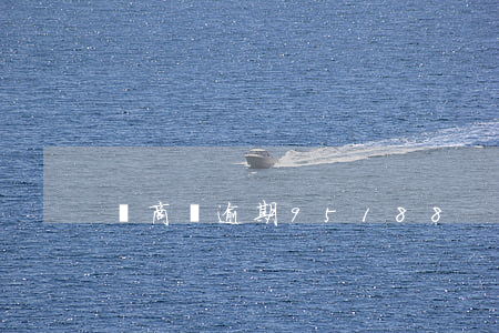 網商貸逾期95188
