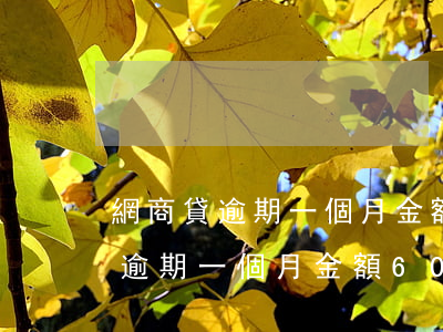 網商貸逾期一個月金額6000多-網商貸逾期一個月金額6000多怎么辦