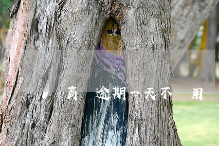 網商貸逾期一天不讓用(網商貸逾期一年逾期費)