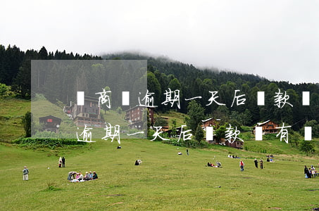 網商貸逾期一天后還款會有額度嗎-網商貸逾期一天后還款會有額度嗎怎么辦