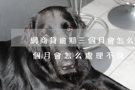 網商貸逾期三個月會怎么處理(網商貸逾期三個月會怎么處理不良)