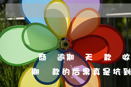 網商貸逾期兩天還款會收滯納金嗎(網商貸逾期還款的后果,真是坑到你無法想象)