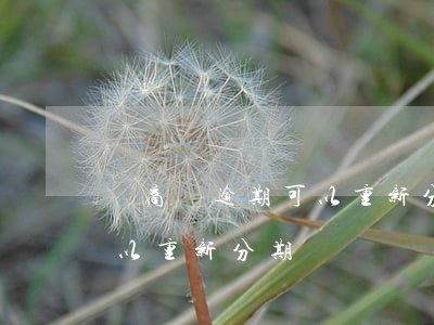 網商貸逾期可以重新分期嗎-網商貸逾期可以重新分期嗎