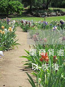 網商貸逾期后還能再用嗎(網商貸逾期多久可以恢復)