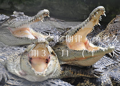 網商貸逾期律師函多久發(fā)(網商貸逾期3個月發(fā)來催收函會起訴我嗎?)