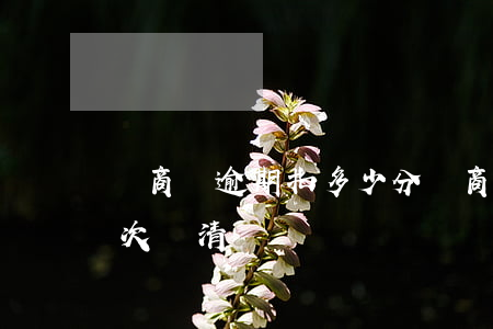 網商貸逾期扣多少分(網商貸逾期多久要求一次還清)