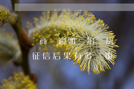 網商貸逾期會拍賣房產嗎(網商貸逾期多久上征信?后果有多嚴重)