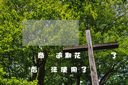 網商貸逾期花唄給關了(網商貸逾期了,花唄以后無法使用了嗎?)