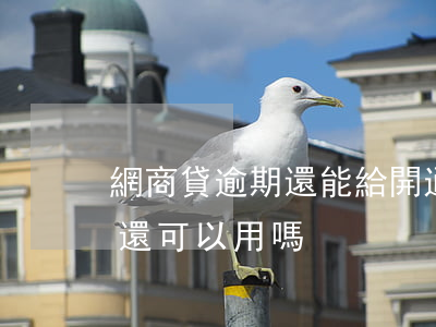 網商貸逾期還能給開通嗎(網商貸逾期后還上還可以用嗎)