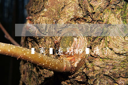 網商貸逾期都結清了