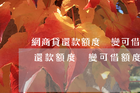 網商貸還款額度沒變可借額度變了-網商貸還款額度沒變可借額度變了怎么回事