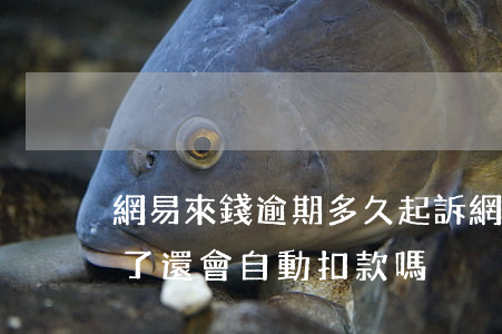 網易來錢逾期多久起訴 網易來錢逾期快一年了還會自動扣款嗎