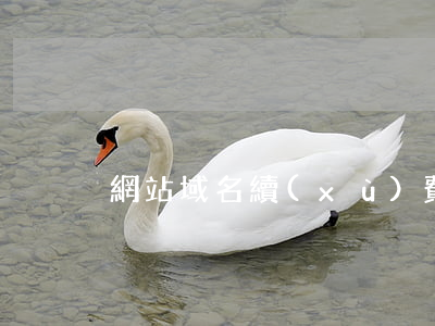 網站域名續(xù)費與維護服務合同