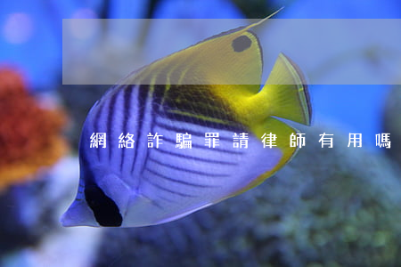 網絡詐騙罪請律師有用嗎(詐騙罪要請律師嗎)