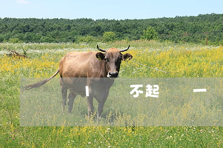網貸1萬還不起 網貸一萬塊錢還不起會判刑嗎