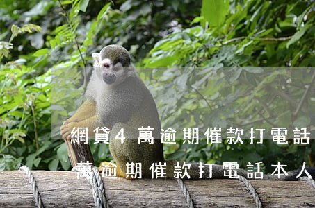 網貸4萬逾期催款打電話本人不接-網貸4萬逾期催款打電話本人不接怎么辦
