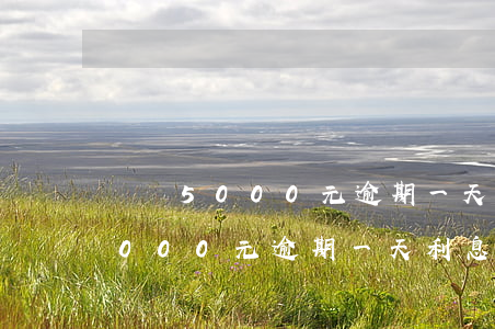 網貸5000元逾期一天利息多少-網貸5000元逾期一天利息多少錢