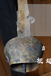 網貸8萬逾期會被判刑嗎(網貸逾期8000會被起訴嗎)