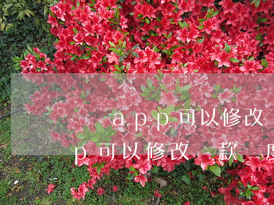 網貸app可以修改還款額度嗎-網貸app可以修改還款額度嗎安全嗎