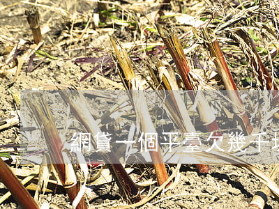 網貸一個平臺欠幾千塊錢沒事吧-