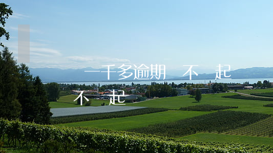 網貸一千多逾期會不會起訴(網貸一千多逾期會不會起訴)
