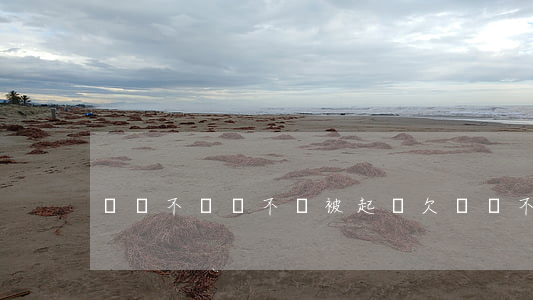 網貸不換會不會被起訴(欠網貸不換)