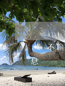 網貸不逾期可以減免嗎(網貸逾期可以申請免息嗎)