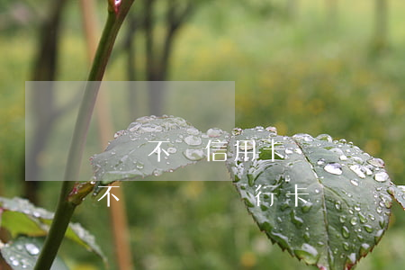 網貸不還信用卡會凍結嗎(欠網貸和信用卡會不會凍結銀行卡)