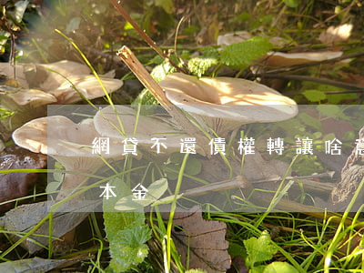 網貸不還債權轉讓啥意思(網貸債權轉讓只還本金)