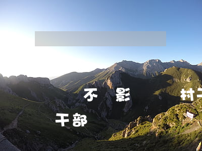 網貸不還影響當選村干部(有貸款可以競選村干部嗎)