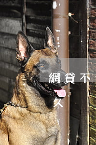 網貸不還被起訴拘留(網貸不還被起訴拘留多久)
