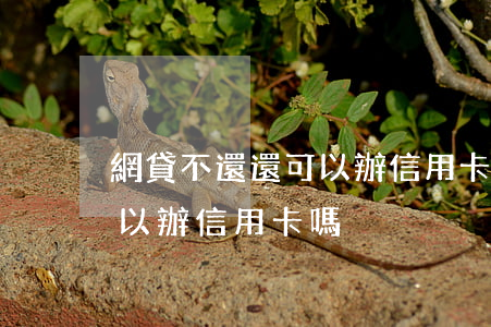 網貸不還還可以辦信用卡嗎(網貸沒有還還可以辦信用卡嗎)
