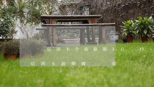 網貸信用卡全面逾期10個月-網貸逾期跟信用卡逾期哪個嚴重