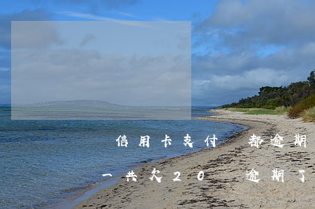 網貸信用卡支付寶都逾期了(支付寶信用卡網貸一共欠20萬逾期了會拖車嗎?)