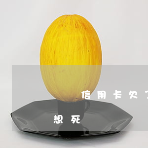 網貸信用卡欠了十多萬(欠網貸信用卡14萬想死)
