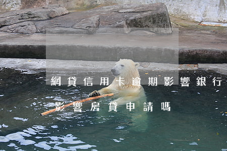 網貸信用卡逾期影響銀行審批房貸 網貸逾期影響房貸申請嗎