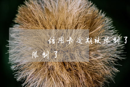 網貸信用卡逾期被限制了(網貸信用卡逾期被限制了)