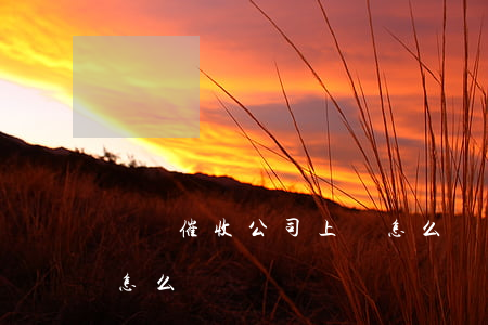 網貸催收公司上門怎么辦(網貸催款人員上門怎么辦)