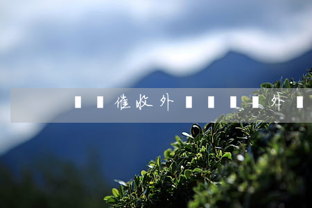 網貸催收外訪組(網貸外訪組會上門嗎?)