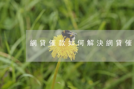 網貸催款如何解決(網貸催款如何解決)