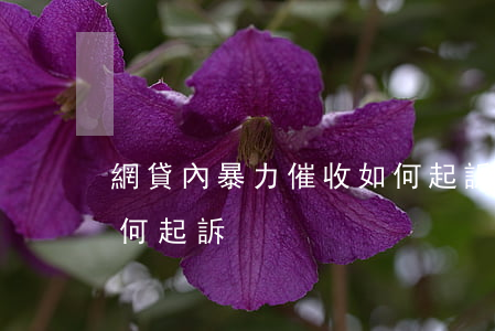 網貸內暴力催收如何起訴(網貸內暴力催收如何起訴)