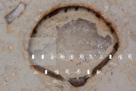 網貸全部逾期怎么辦信用卡(網貸全部逾期怎么辦信用卡還款)