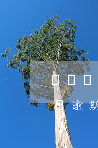 網貸兩萬逾期一年利息太高怎么辦-網貸兩萬逾期一年利息太高怎么辦呢